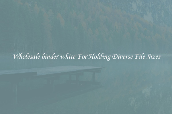 Wholesale binder white For Holding Diverse File Sizes