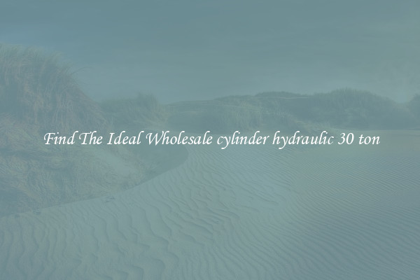 Find The Ideal Wholesale cylinder hydraulic 30 ton