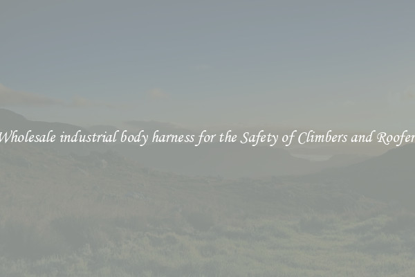 Wholesale industrial body harness for the Safety of Climbers and Roofers