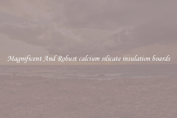 Magnificent And Robust calcium silicate insulation boards