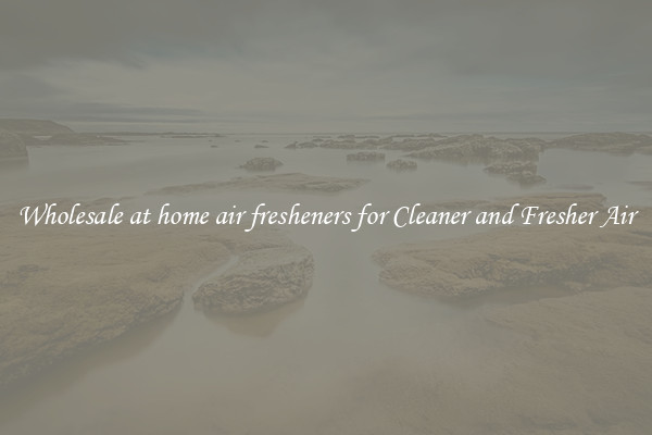 Wholesale at home air fresheners for Cleaner and Fresher Air