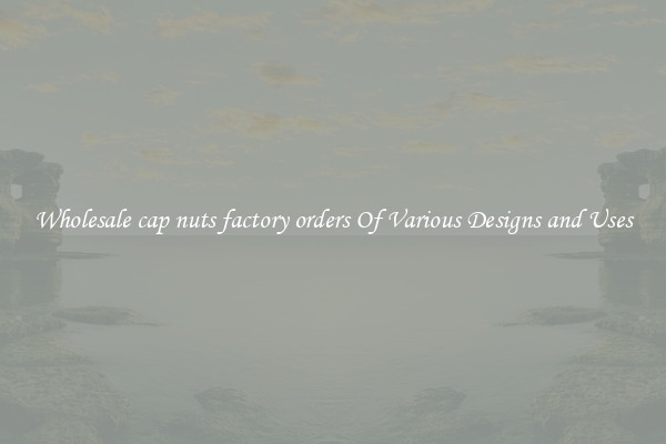 Wholesale cap nuts factory orders Of Various Designs and Uses