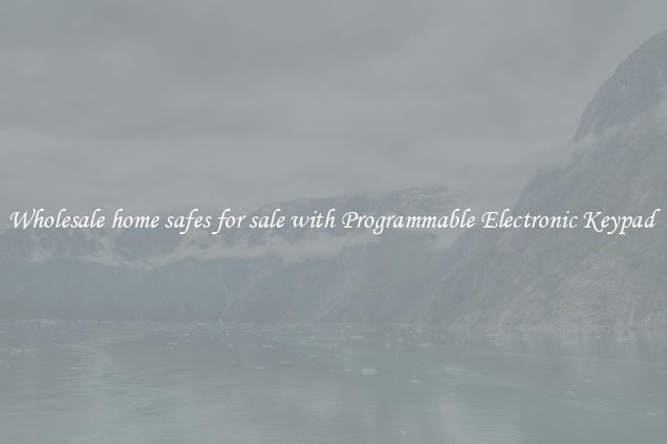Wholesale home safes for sale with Programmable Electronic Keypad 