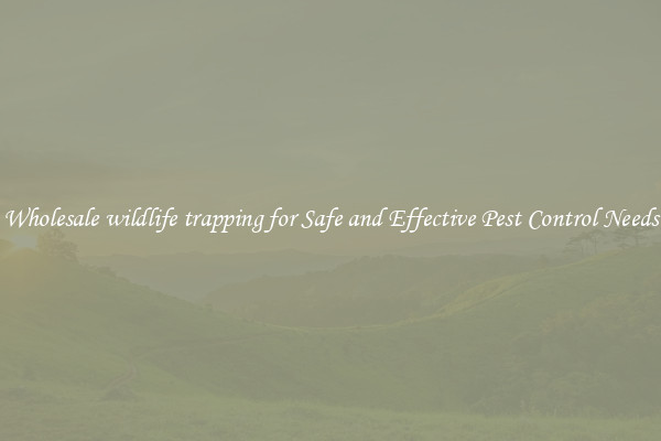 Wholesale wildlife trapping for Safe and Effective Pest Control Needs