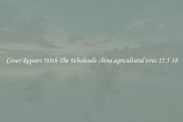  Cover Repairs With The Wholesale china agricultural tires 15.5 38 