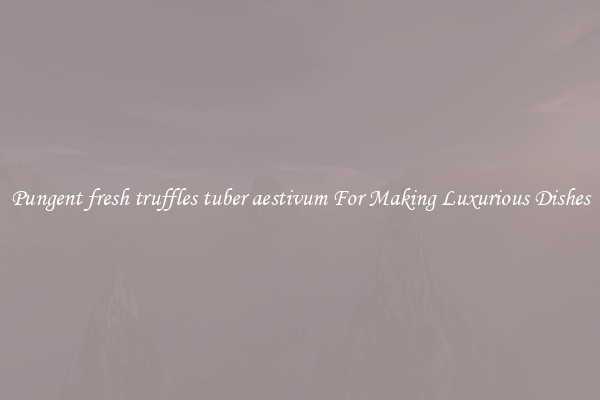 Pungent fresh truffles tuber aestivum For Making Luxurious Dishes