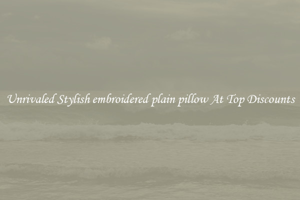 Unrivaled Stylish embroidered plain pillow At Top Discounts