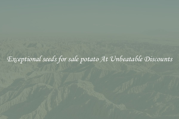 Exceptional seeds for sale potato At Unbeatable Discounts