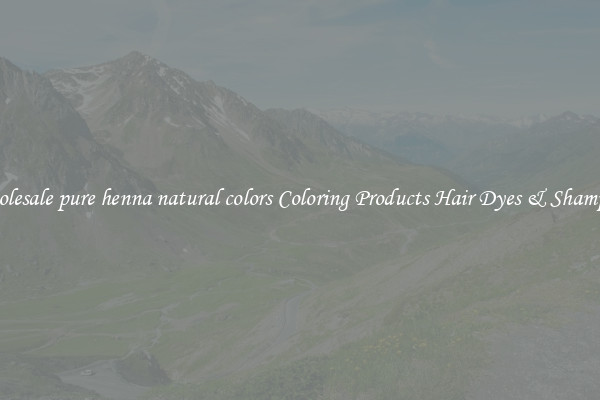 Wholesale pure henna natural colors Coloring Products Hair Dyes & Shampoos