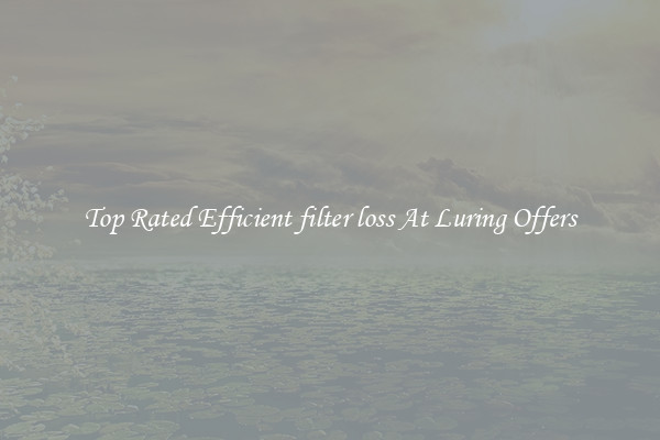 Top Rated Efficient filter loss At Luring Offers