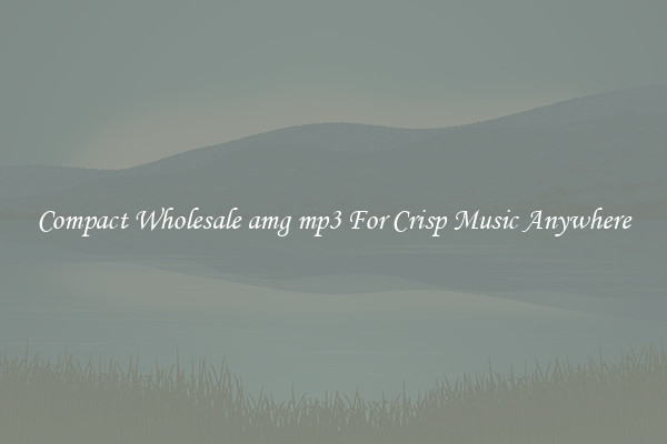 Compact Wholesale amg mp3 For Crisp Music Anywhere