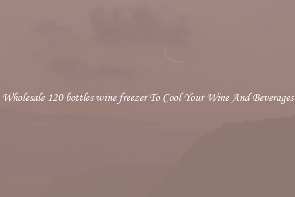 Wholesale 120 bottles wine freezer To Cool Your Wine And Beverages