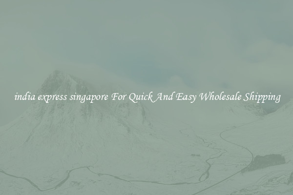 india express singapore For Quick And Easy Wholesale Shipping