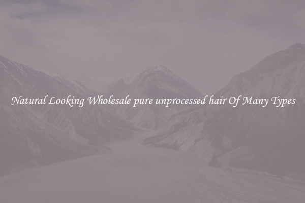 Natural Looking Wholesale pure unprocessed hair Of Many Types