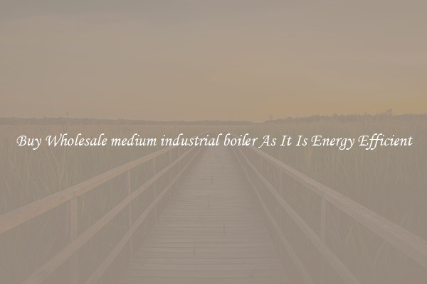 Buy Wholesale medium industrial boiler As It Is Energy Efficient