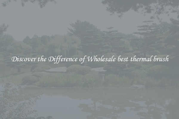 Discover the Difference of Wholesale best thermal brush