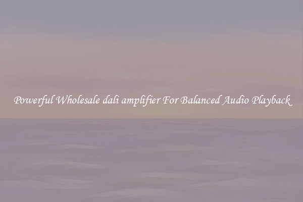 Powerful Wholesale dali amplifier For Balanced Audio Playback