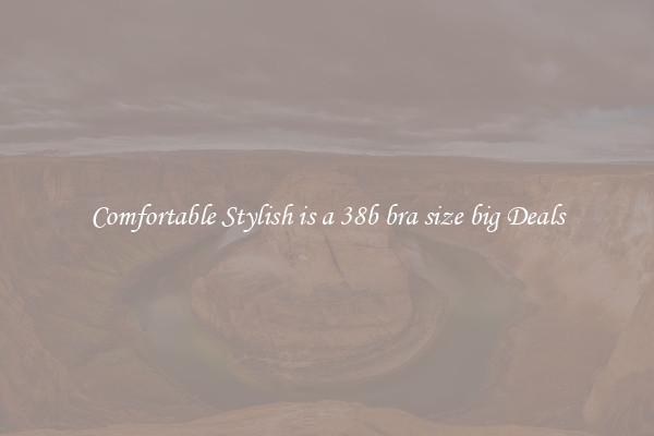 Comfortable Stylish is a 38b bra size big Deals