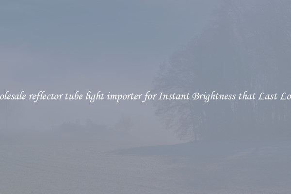 Wholesale reflector tube light importer for Instant Brightness that Last Longer