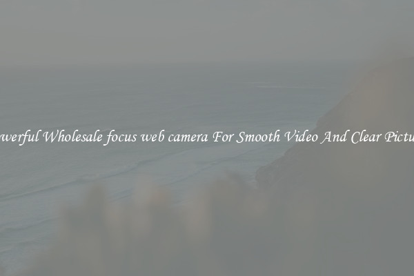 Powerful Wholesale focus web camera For Smooth Video And Clear Pictures