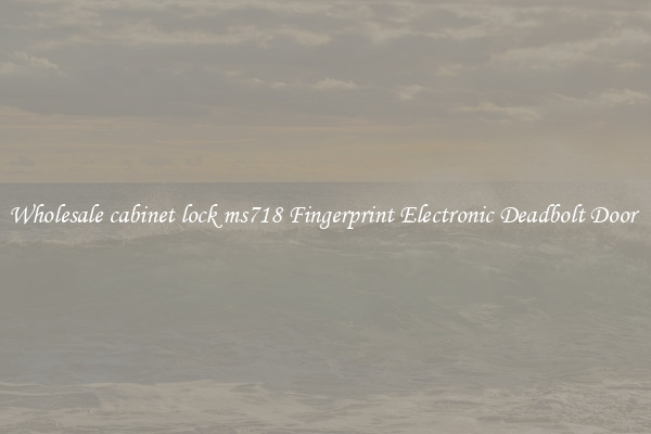 Wholesale cabinet lock ms718 Fingerprint Electronic Deadbolt Door 