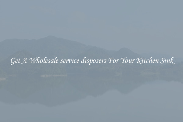 Get A Wholesale service disposers For Your Kitchen Sink
