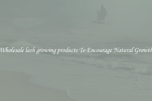 Wholesale lash growing products To Encourage Natural Growth