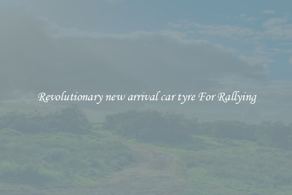 Revolutionary new arrival car tyre For Rallying